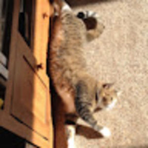 Meet your Posher, Brad